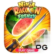 Ninja Racoon Frenzy